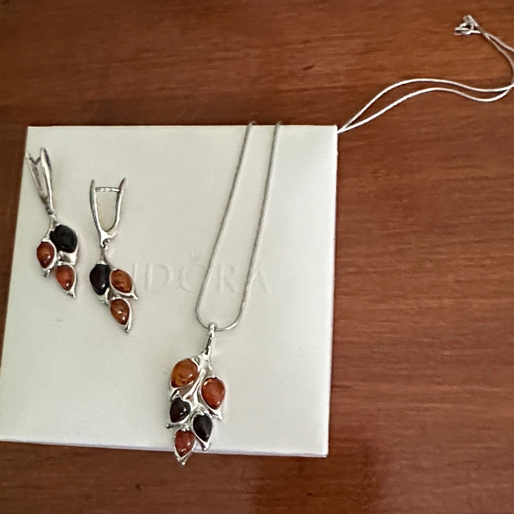 Elegant Silver and Brown Jewelry Set
